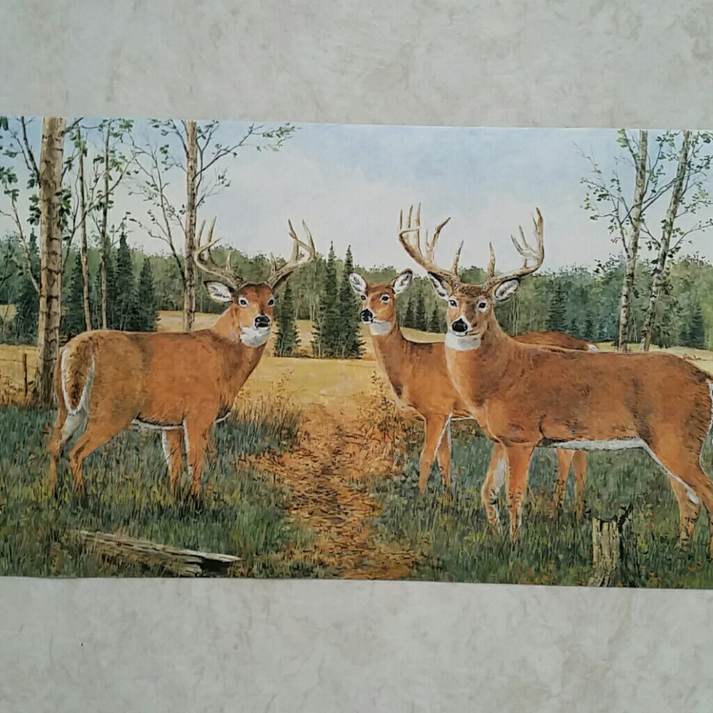 Wallpaper Border - Whitetail Buck Deer Cabin
